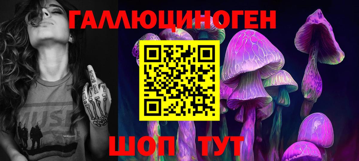Сертолово  Галлюциногенные грибы прущие грибы  где купить   Псилоцибиновые грибы прущие грибы  Вход с VPN 